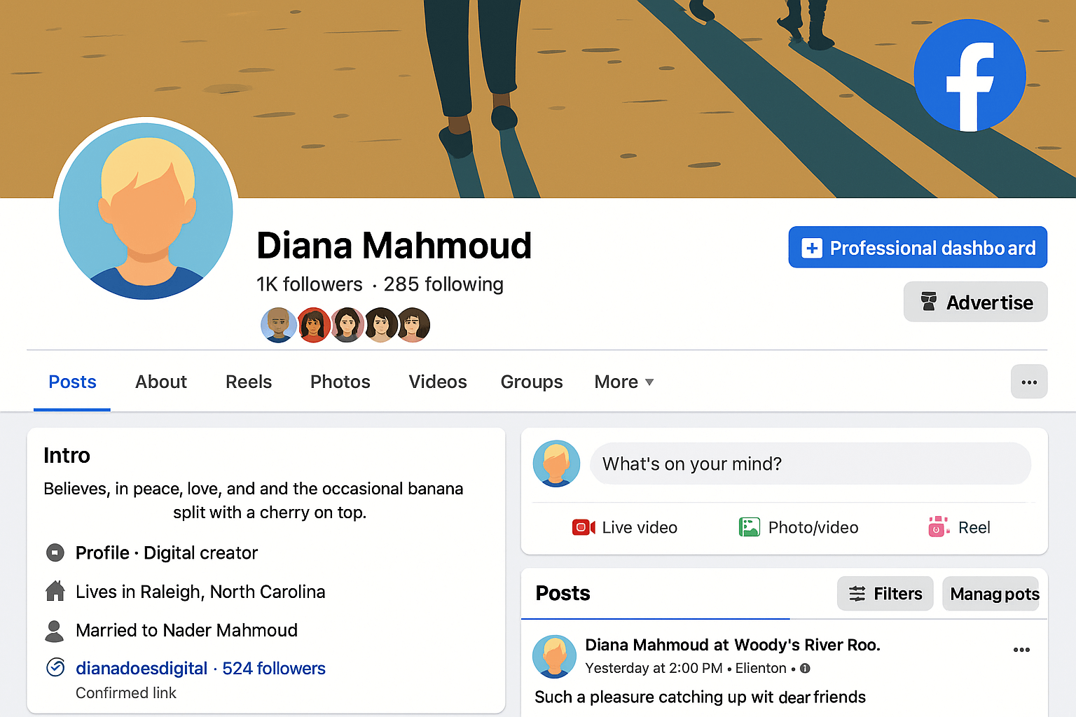 Cartoon-style Facebook profile mockup of Diana Mahmoud with pixie avatar, created as a featured image for a blog on Organic Facebook Marketing.